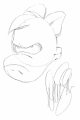 Head Sketch