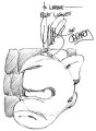 Head and Wall